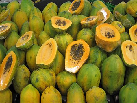 How Much Does a Papaya Cost? | HowMuchIsIt.org