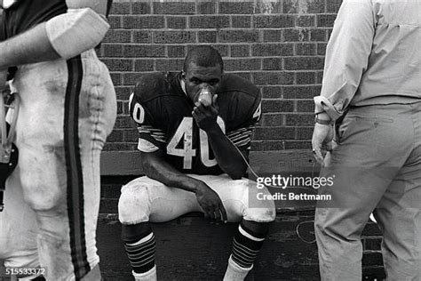 Gayle Sayers Photos And Premium High Res Pictures Getty Images