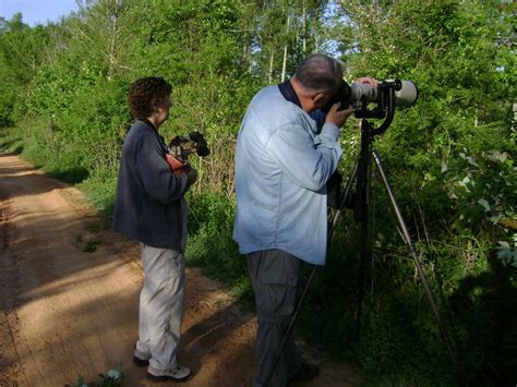 Louisiana Swamp Tours: Louisiana Swamp Photography Safari