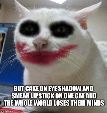 Cat Lipstick Meme Infoupdate Org