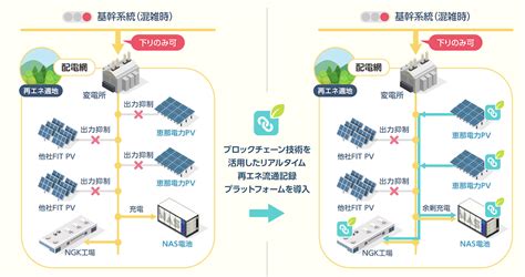 蓄電池内の「再エネ価値」を担保する手法の確立へ、日本ガイシとリコーがトラッキング実証へ：自然エネルギー スマートジャパン