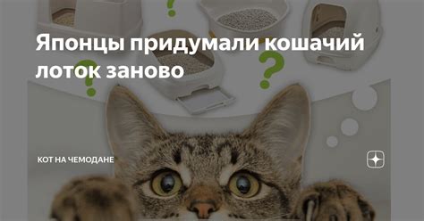 Японцы придумали кошачий лоток заново | Кот на чемодане | Дзен