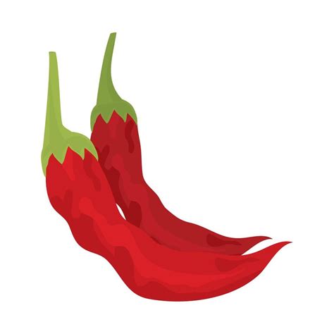 Chili Pepper Vegetable 10512351 Vector Art At Vecteezy