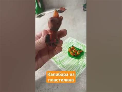 Батл у кого лучше капибара из пластилина#капибара - YouTube