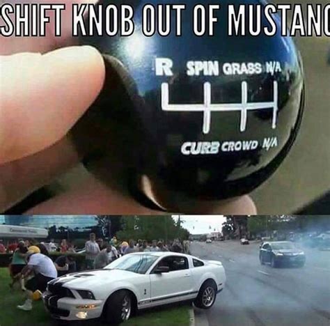 Mustang Shift Knob