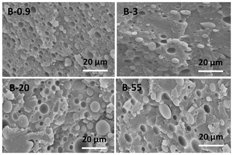 Materials Free Full Text Morphology Rheology And Crystallization