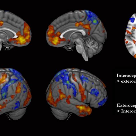 Interoception Versus Exteroception The Red Yellow Color Scale Shows