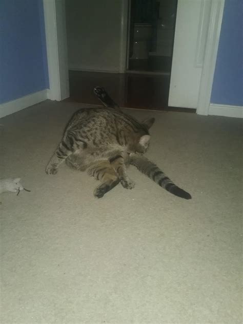 Preteen Pussy Licking His Asshole Scrolller