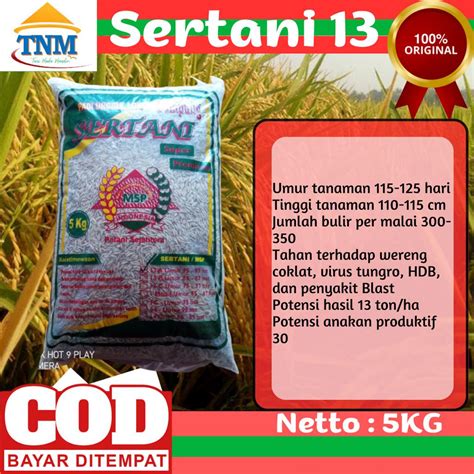 Jual Bibit Padi Sertani Kemasan Kg Shopee Indonesia