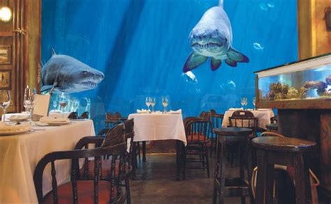 The Majestic Underwaters: Underwater Restaurants