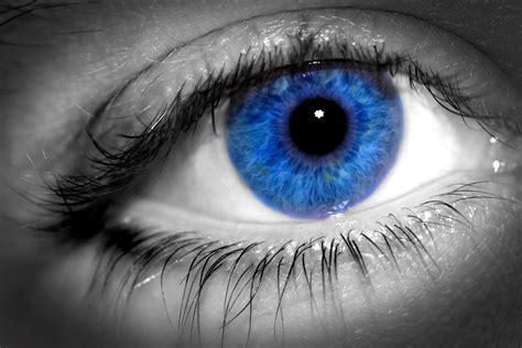 Blue eyes - Blue Eyes Photo (5833483) - Fanpop