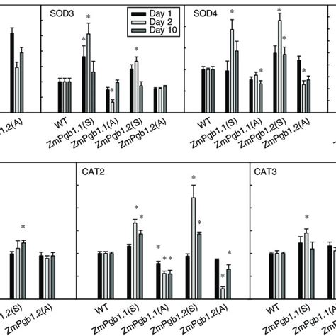 Relative Expression Levels Of Four Superoxide Dismutase Sod Genes And