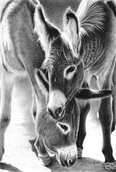 Animal Pencil Shading