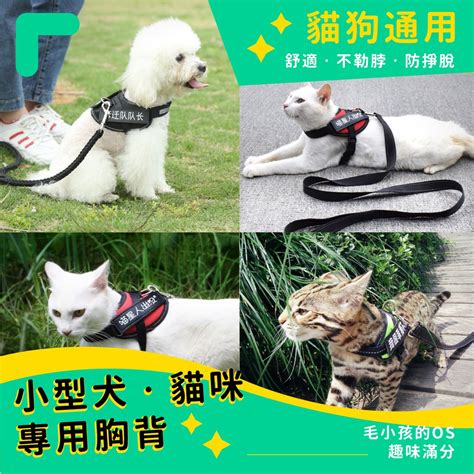 【汪喵派對】 小k9 小型犬 貓牽繩 貓咪專用胸背帶 防暴衝 胸背帶 貓咪胸背帶 牽繩 寵物外出 寵物胸背帶 K9 蝦皮購物