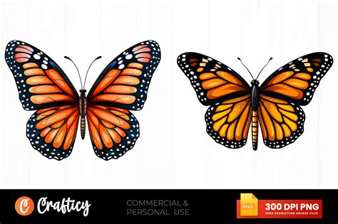 Monarch Butterfly Clipart Png Design Graphic By Graftify · Creative Fabrica