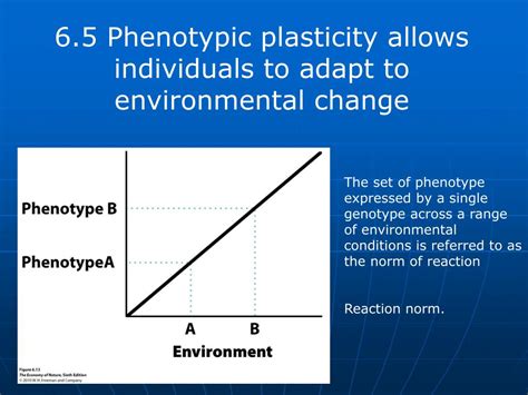 PPT BIOL 4120 Principles Of Ecology Lecture 6 Evolution And