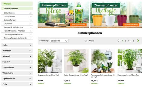 Zimmerpflanzen online kaufen - Gartentipps.com