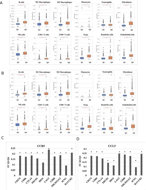 Ccr5 And Ccl5 Gene Expression In Colorectal Cancer Comprehensive