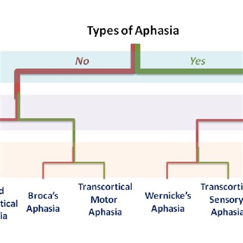 Aphasia Types Chart