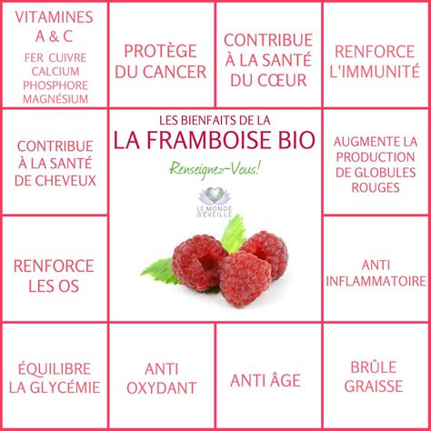 Les bienfaits de la Framboise bio Santé Santé naturelle Santé nutrition