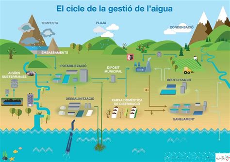 CICLE DE LAIGUA LES SET DIFERÈNCIES Taula del Llobregat