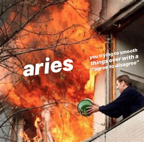 10 Memes About Aries That Are Uncomfortably Spot On