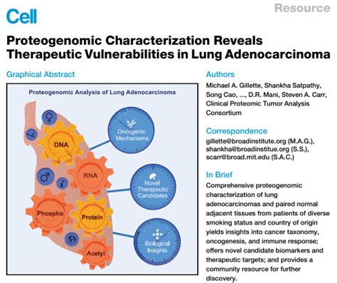 Cell ：蛋白质组的肺腺癌分子图谱全景，中国人蛋白质组计划再下一层财经头条