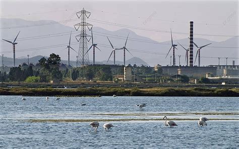 Nature Vs Industry Background Images Hd Pictures And Wallpaper For