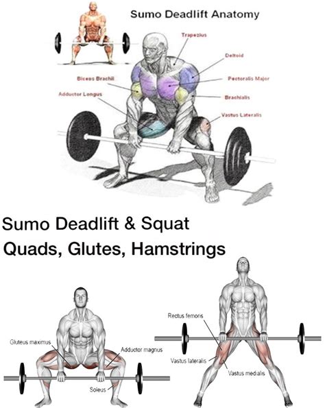 What Muscles Does Sumo Deadlift Work - What Does