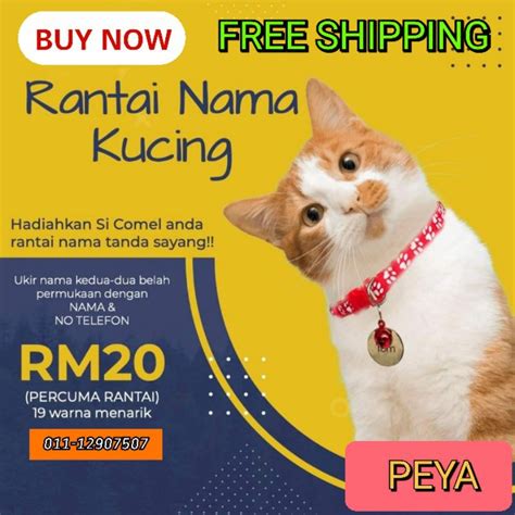 Nama Kucing Malaysia Soakploaty