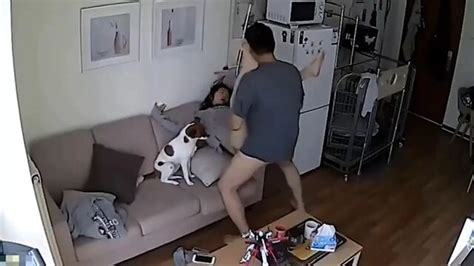 Chinese dog sex смотреть 45562 порно видео онлайн