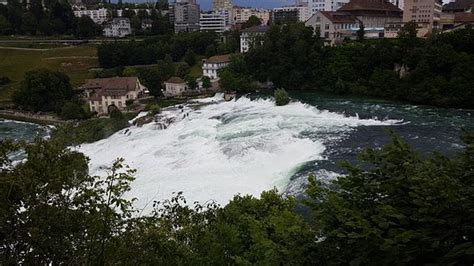 Chutes Du Rhin Neuhausen Am Rheinfall 2020 Ce Qu Il Faut Savoir