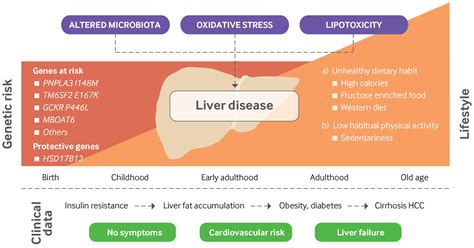 Management Of Non Alcoholic Fatty Liver Disease The Bmj