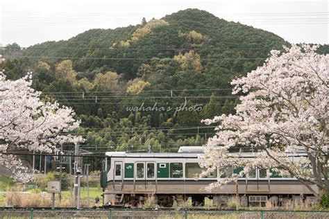 鉄道風景写真が撮りたーいっ！ 久しぶりの近鉄③