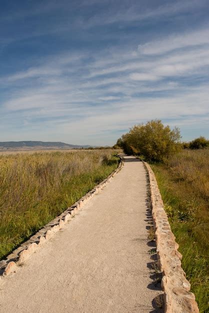 Estrada Vazia Ao Longo Da Paisagem Rural Foto Premium