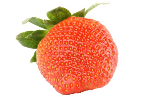 Strawberries Close Up Png Transparent Images Free Download Vector