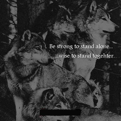 Pin By Alexandru Agopian On Quotes Wolf Quotes Wolf Pack Quotes