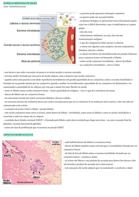 SOLUTION Doenças benignas de mama na visão da fisiopatologia Studypool