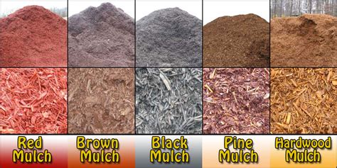 Different types of mulch