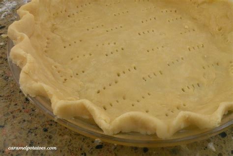 Egg And Vinegar Pie Crust Easy Pie Crust All Butter Pie Crust Pie Crumble