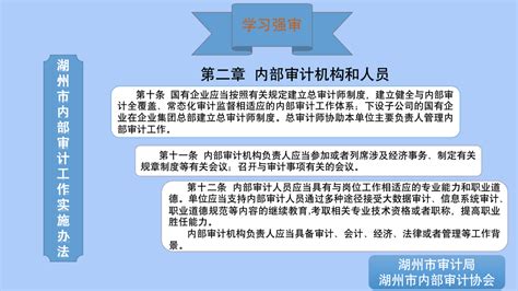 学习强审 《湖州市内部审计工作实施办法》 六