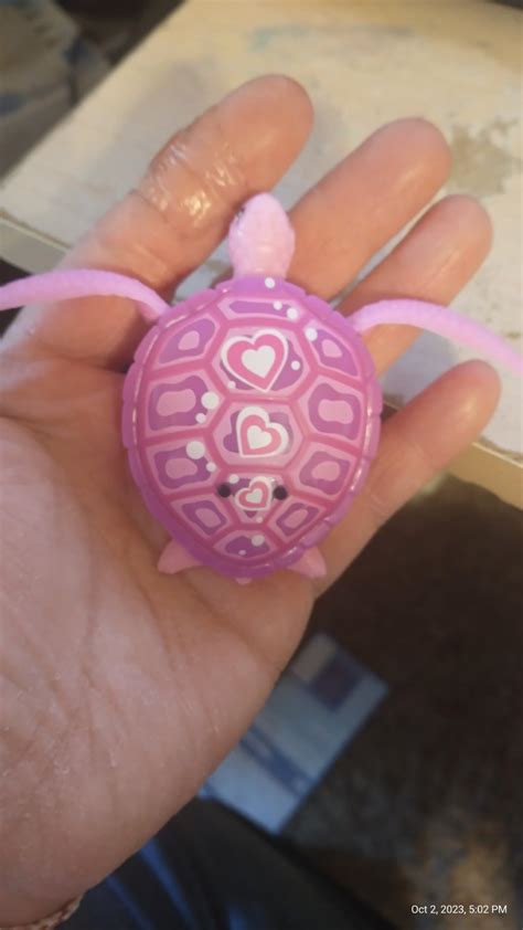 Swimming Turtle Holdmywallet