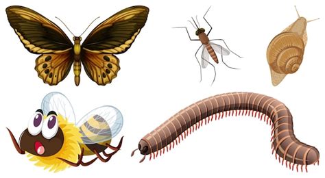 Conjunto De Diferentes Tipos De Insectos Vector Gratis