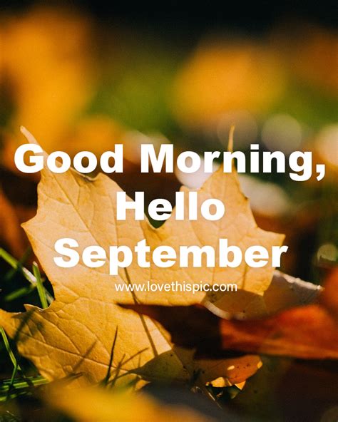 Crisp Leaves Good Morning Hello September Pictures Photos And