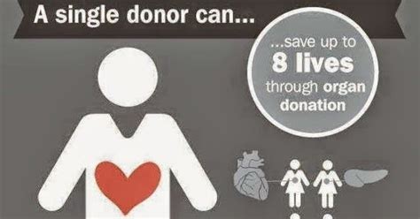 Organ And Tissue Donation Blog℠ One Persons Organs Can Save Eight Lives