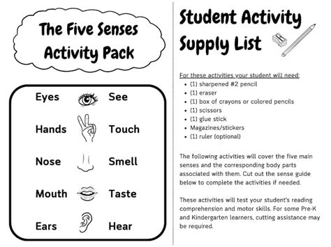 The Five Senses Activity Packet Etsy