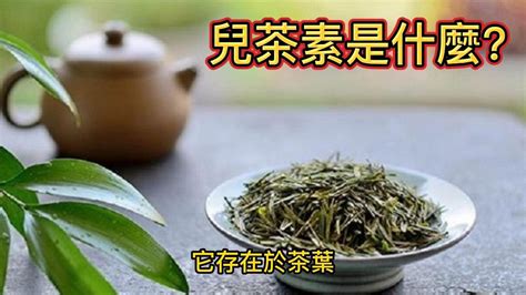 「探索兒茶素的健康功效！了解兒茶素的作用和攝取方法，讓你的身體健康更加美好和充滿活力」 Youtube