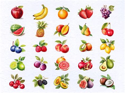 25 Fruits Clipart Clipart Bundle Watercolor Clip Art Apple Etsy Australia