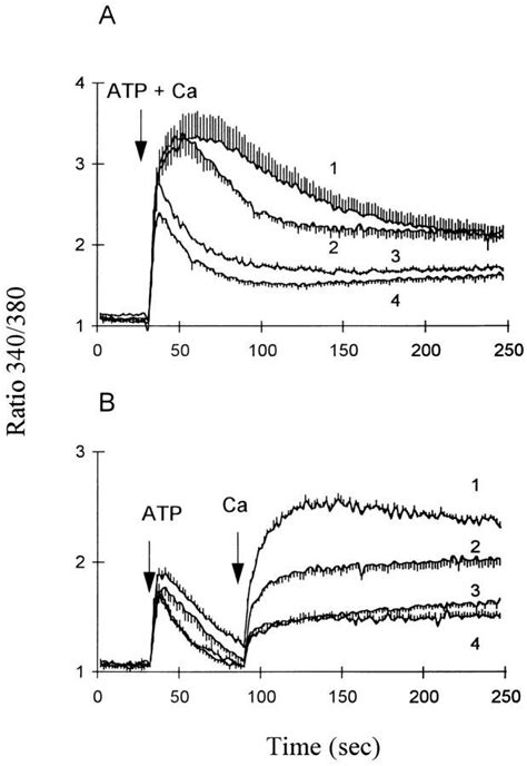 Pma Attenuates Atp Evoked Ca Influx In Ck Cells Ck Cells Were