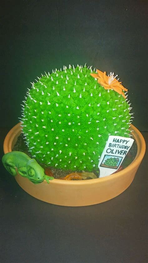 Cactus Cake Le Bakery Sensual